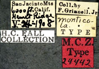 Media type: image;   Entomology 24442 Aspect: labels